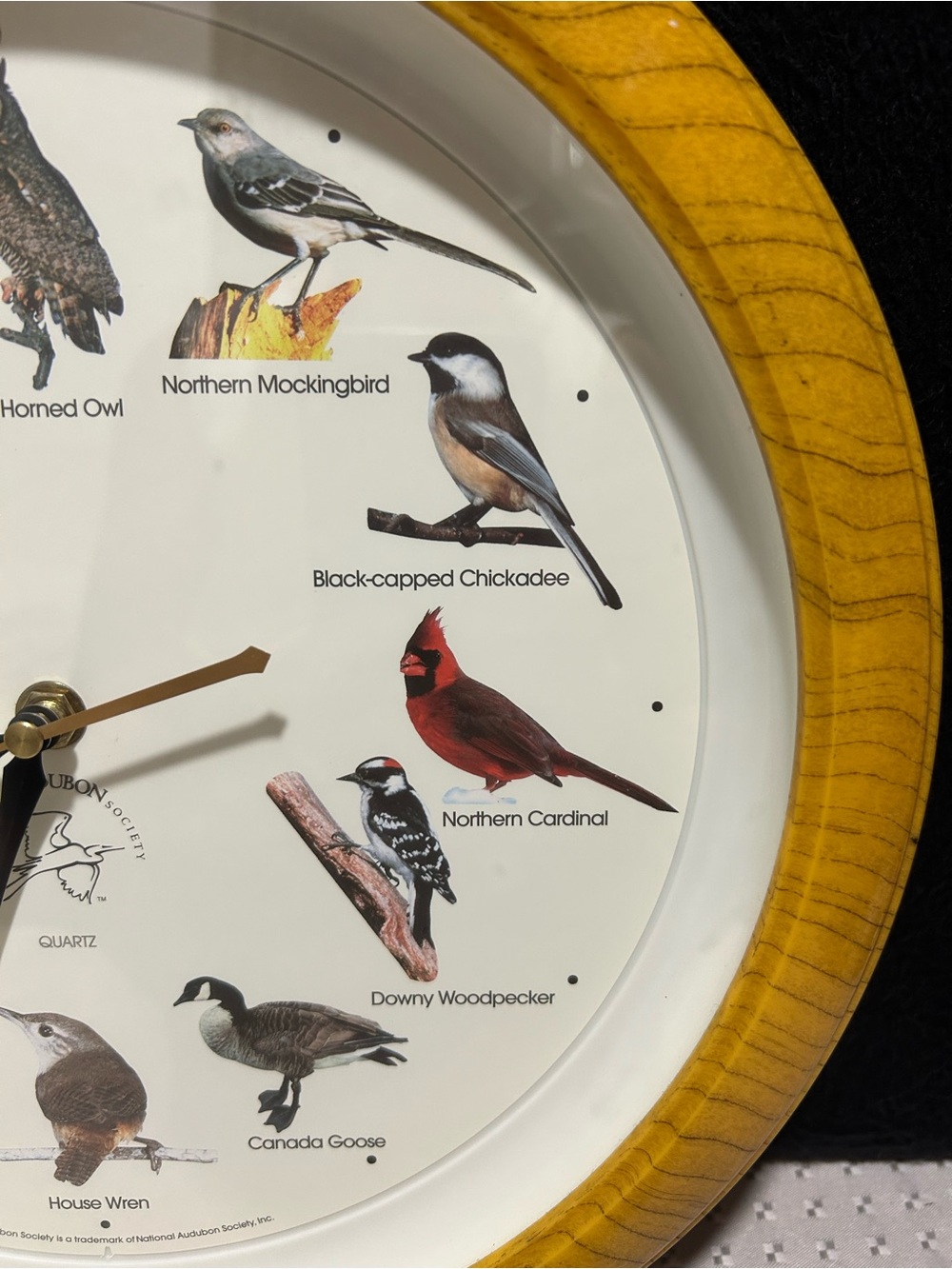 Vtg 90s National Audubon Society Singing Bird Clock 13" Oak Colored Frame TESTED - Picture 5 of 6